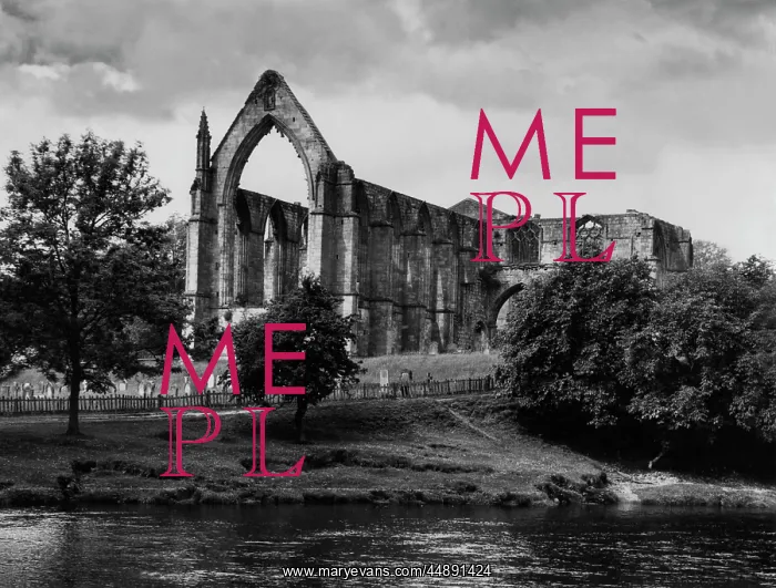 : BOLTON ABBEY : BOLTON ABBEY