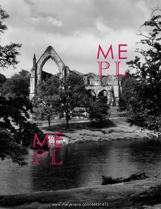 : BOLTON ABBEY : BOLTON ABBEY