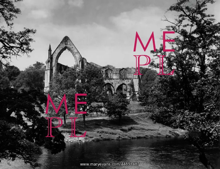 : BOLTON ABBEY : BOLTON ABBEY