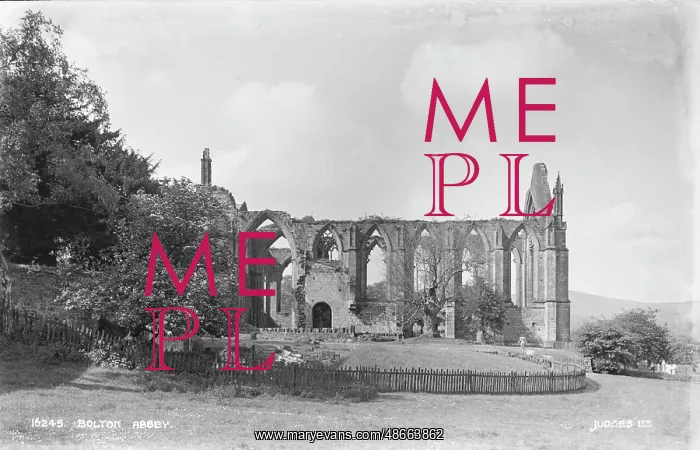 : Bolton Abbey Ruins : Bolton Abbey Ruins