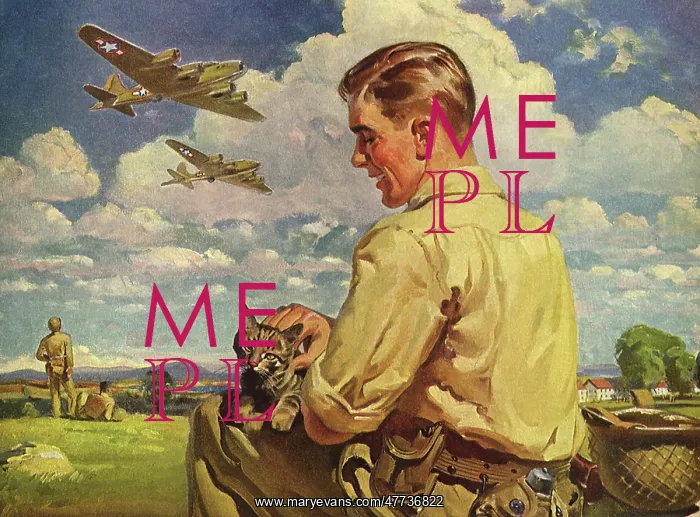  : Bombers fly over Young Man with Cat