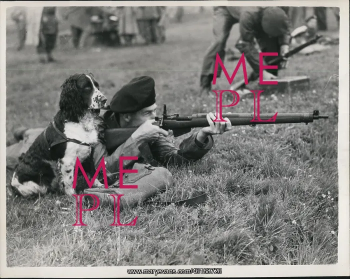 : Bombs - Guns - Weapons : Bombs - Guns - Weapons