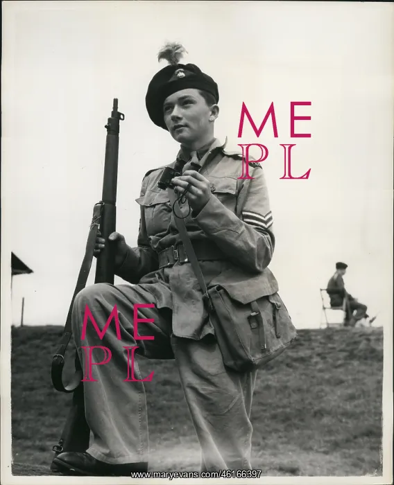 : Bombs - Guns - Weapons : Bombs - Guns - Weapons