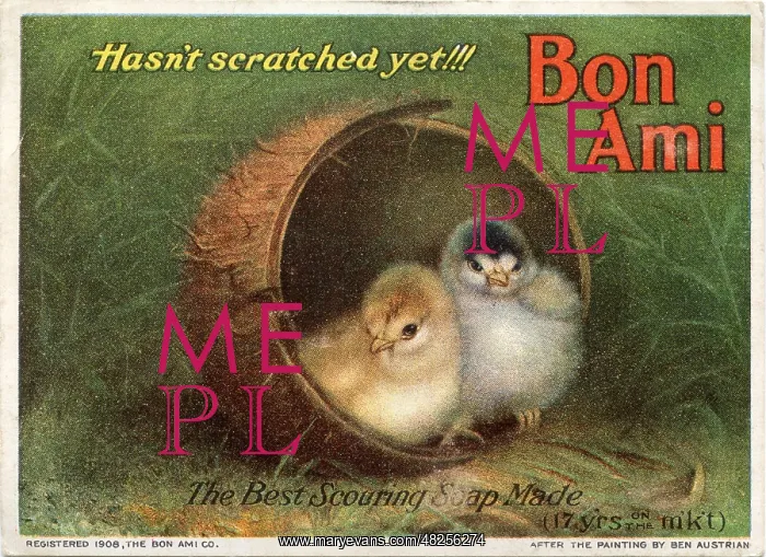 : Bon Ami Scouring Soap, Chicks hasn't scratched yet : Bon Ami Scouring Soap, Chicks hasn't scratched yet