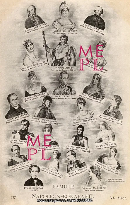 : The Bonaparte Family : The Bonaparte Family