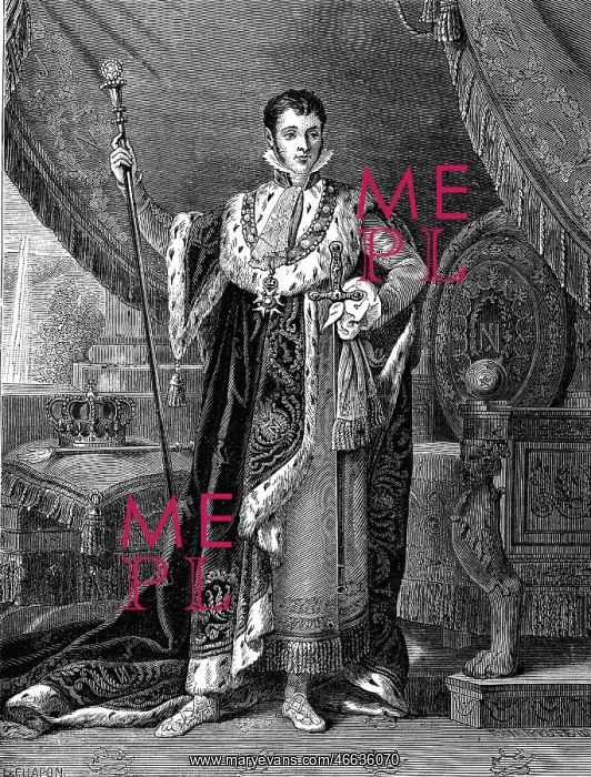 : Bonaparte, Jerome, 15.11.1784 - 24.6.1860, King : Bonaparte, Jerome, 15.11.1784 - 24.6.1860, King