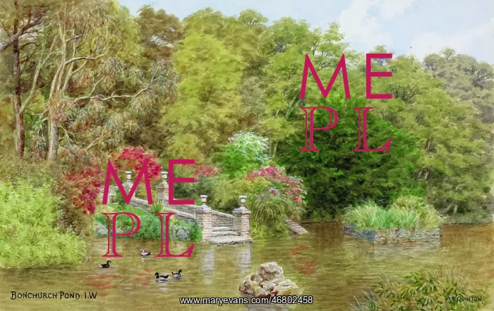 : Bonchurch Pond, Isle of Wight : Bonchurch Pond, Isle of Wight