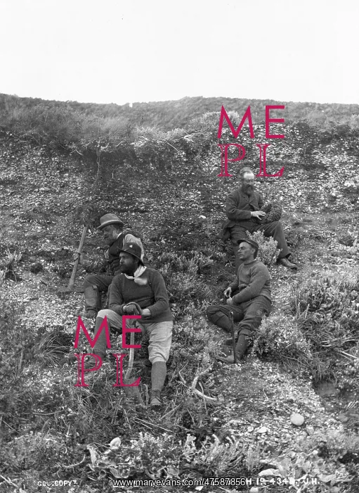 : Bone diggers, Elizabeth Island, Strait of Magellan : Bone diggers, Elizabeth Island, Strait of Magellan