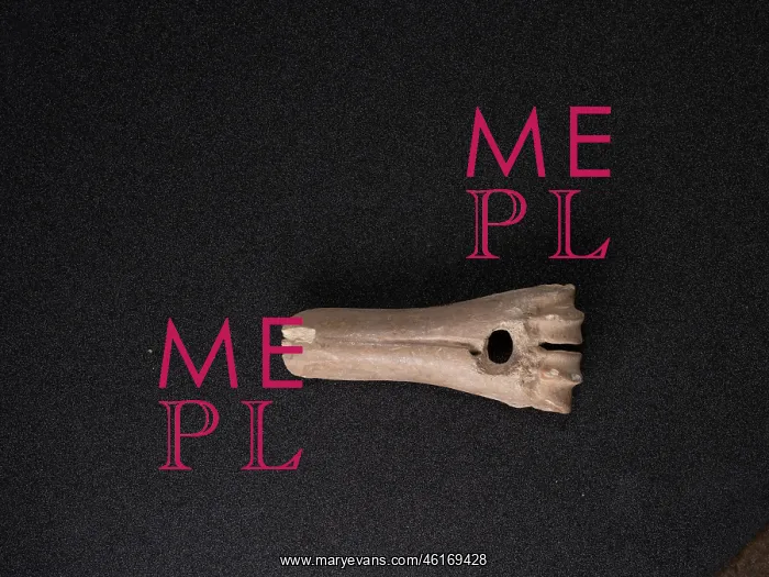 : Bone mattock, Orkney Museum, Kirkwall, Mainland, Orkney : Bone mattock, Orkney Museum, Kirkwall, Mainland, Orkney