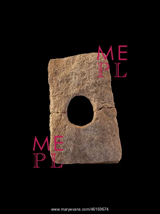 : Bone object, Visitor Centre Museum, Skara Brae, Mainland : Bone object, Visitor Centre Museum, Skara Brae, Mainland
