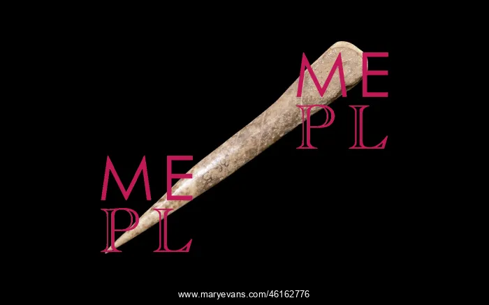 : Bone pin, Orkney Museum, Kirkwall, Mainland, Orkney : Bone pin, Orkney Museum, Kirkwall, Mainland, Orkney