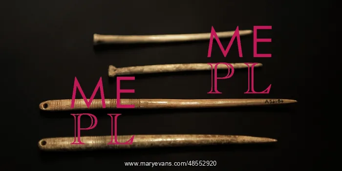 : Bone pins. Neolithic. Denmark : Bone pins. Neolithic. Denmark