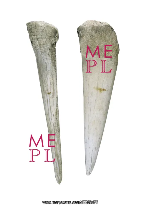 : Bone punches. Neolithic art. Decorative Arts : Bone punches. Neolithic art. Decorative Arts