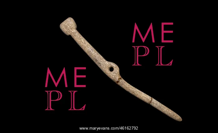 : Bone tool, Orkney Museum, Kirkwall, Mainland, Orkney : Bone tool, Orkney Museum, Kirkwall, Mainland, Orkney