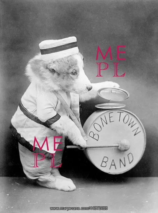  : BONE TOWN BAND