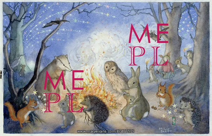 : Bonfire Night - badger, rabbits, hedgehogs, etc : Bonfire Night - badger, rabbits, hedgehogs, etc