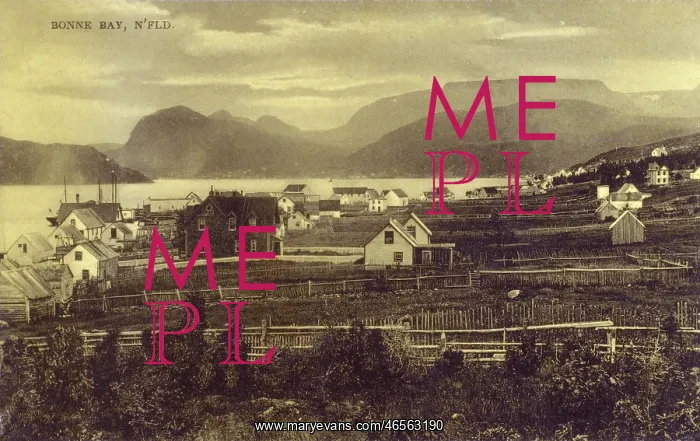  : Bonne Bay - Newfoundland