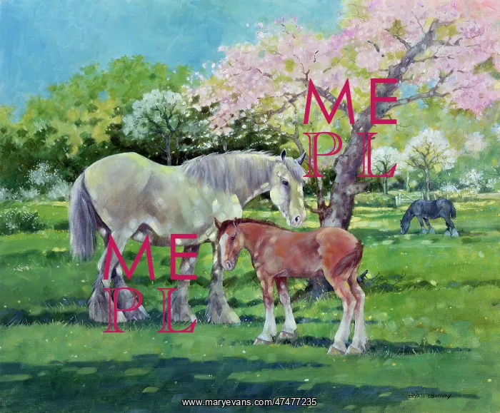 : Bonny and Foal ??in spring meadow : Bonny and Foal ??in spring meadow