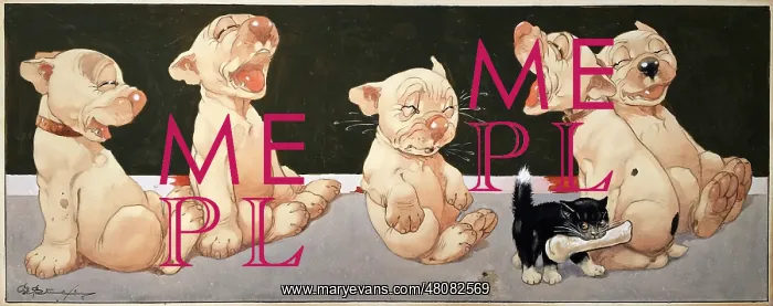 : Five Bonzos laugh as a small black kitten takes their bone : Five Bonzos laugh as a small black kitten takes their bone