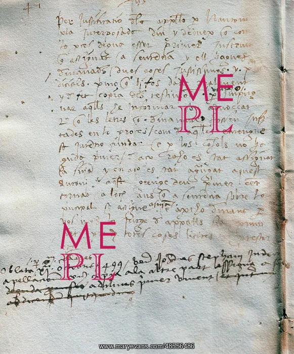 : Book of accounts : Book of accounts