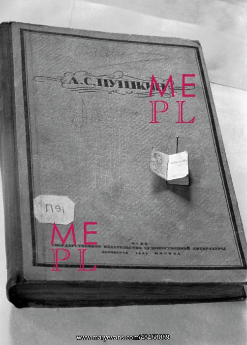 : Book of Alexander Pushkin : Book of Alexander Pushkin