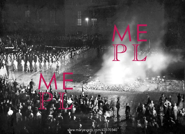 : Book Burning in Berlin : Book Burning in Berlin