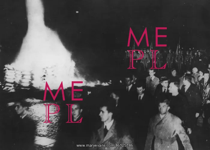 : Book Burning - Nazism : Book Burning - Nazism