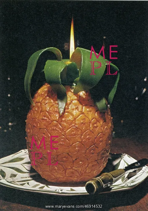 : the book of creative crafts - 1970's, pineapple : the book of creative crafts - 1970's, pineapple