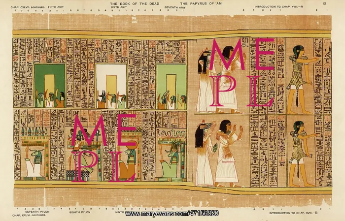 : BOOK OF THE DEAD / 12 : BOOK OF THE DEAD / 12