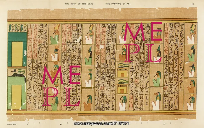 : BOOK OF THE DEAD / 13 : BOOK OF THE DEAD / 13