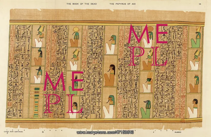 : BOOK OF THE DEAD / 14 : BOOK OF THE DEAD / 14