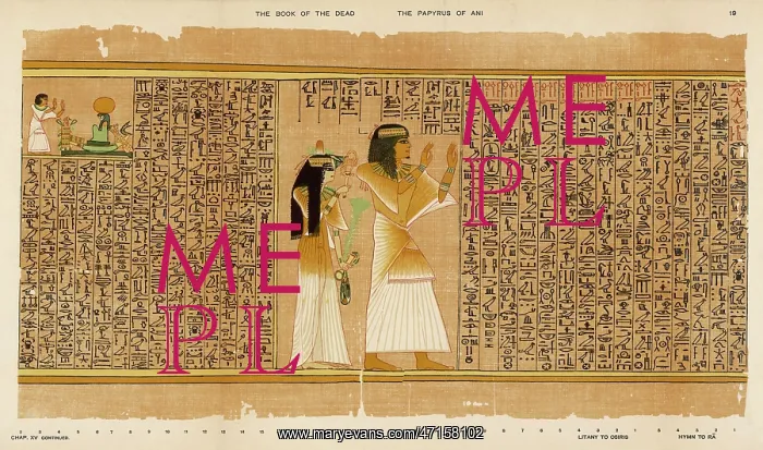 : BOOK OF THE DEAD / 19 : BOOK OF THE DEAD / 19