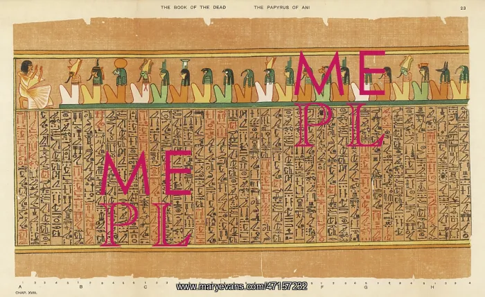: BOOK OF THE DEAD / 23 : BOOK OF THE DEAD / 23