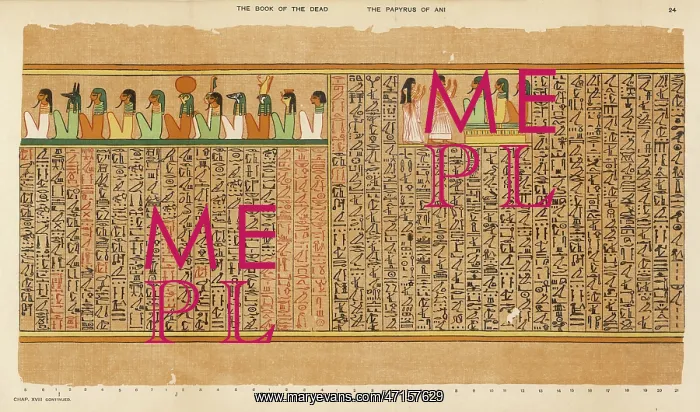 : BOOK OF THE DEAD / 24 : BOOK OF THE DEAD / 24