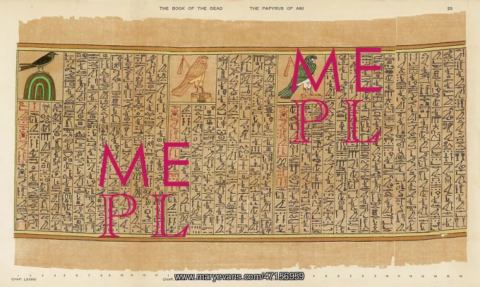 : BOOK OF THE DEAD / 25 : BOOK OF THE DEAD / 25