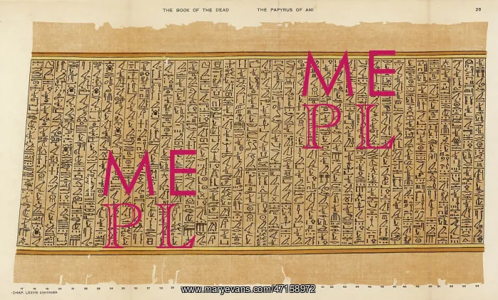: BOOK OF THE DEAD / 26 : BOOK OF THE DEAD / 26