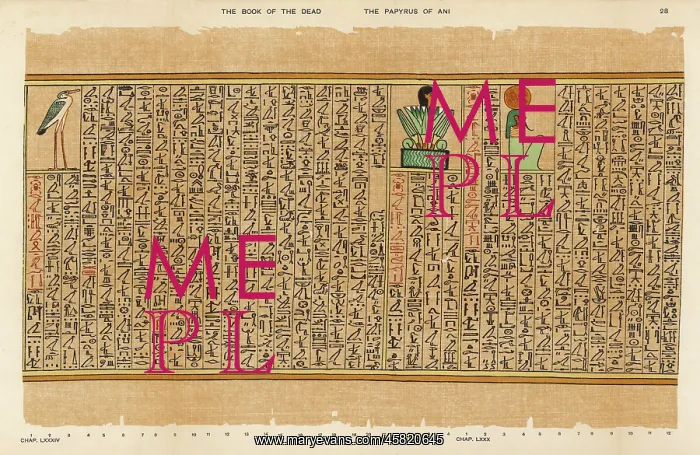 : BOOK OF THE DEAD / 28 : BOOK OF THE DEAD / 28