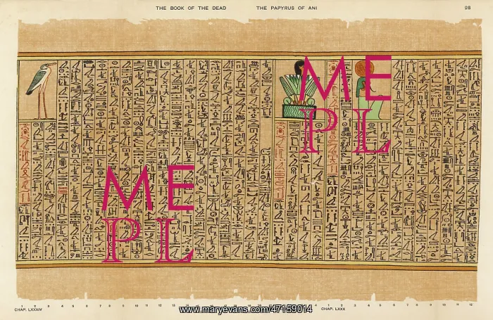  : BOOK OF THE DEAD / 28