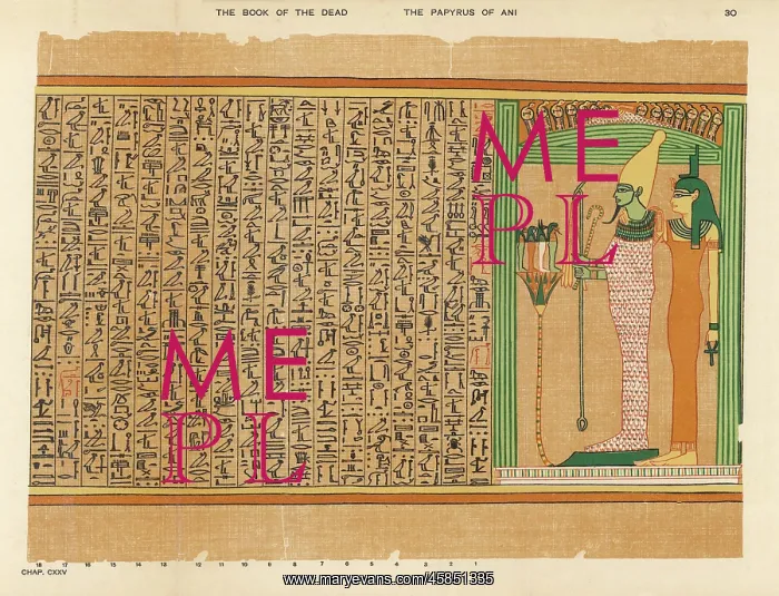 : BOOK OF THE DEAD / 30 : BOOK OF THE DEAD / 30