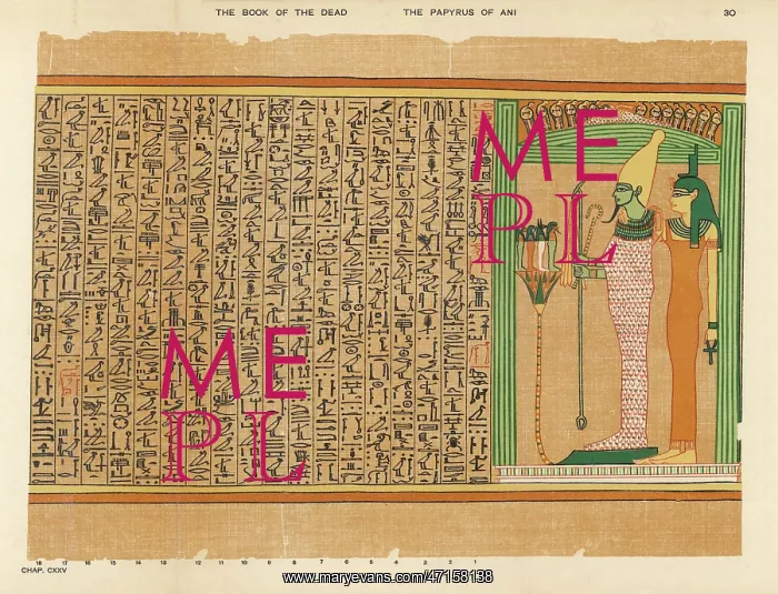 : BOOK OF THE DEAD / 30 : BOOK OF THE DEAD / 30