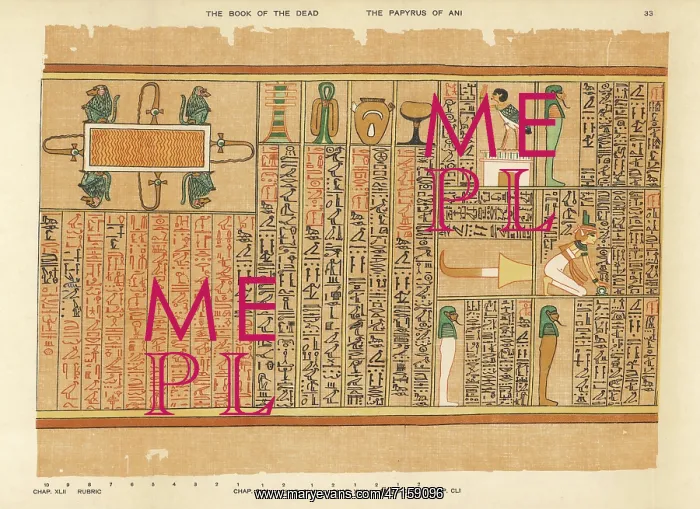 : BOOK OF THE DEAD / 33 : BOOK OF THE DEAD / 33