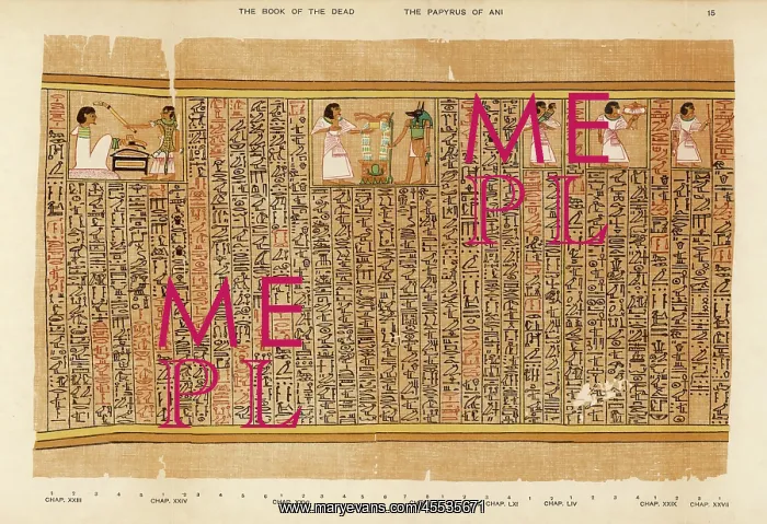 : Book of the Dead - Ancient Egypt : Book of the Dead - Ancient Egypt