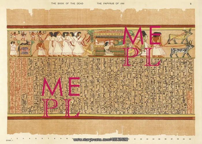 : Book of the Dead - Ancient Egypt : Book of the Dead - Ancient Egypt