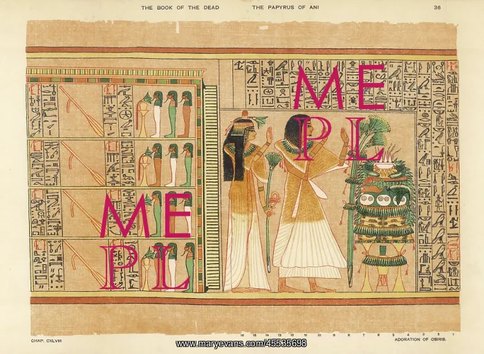 : Book of the Dead - Ancient Egypt : Book of the Dead - Ancient Egypt