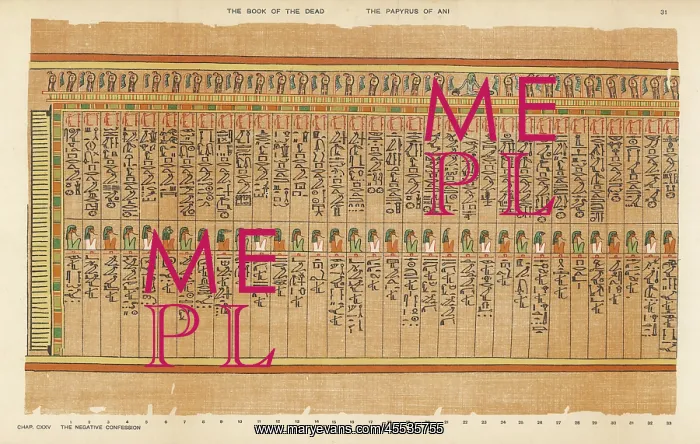 : Book of the Dead - Ancient Egypt : Book of the Dead - Ancient Egypt