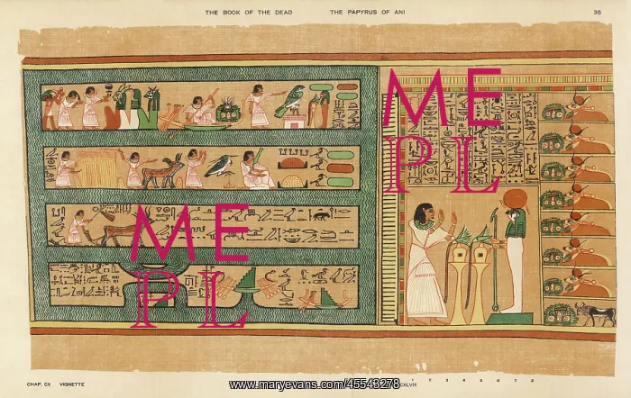 : Book of the Dead - Ancient Egypt : Book of the Dead - Ancient Egypt