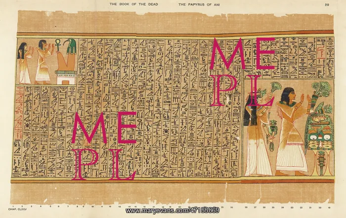 : Book of the Dead - Ancient Egypt : Book of the Dead - Ancient Egypt