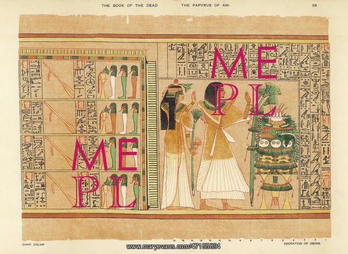 : Book of the Dead - Ancient Egypt : Book of the Dead - Ancient Egypt
