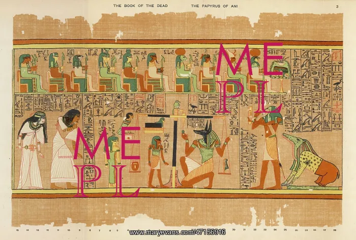 : Book of the Dead - Ancient Egypt : Book of the Dead - Ancient Egypt