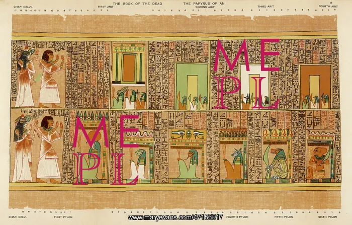 : Book of the Dead - Ancient Egypt : Book of the Dead - Ancient Egypt